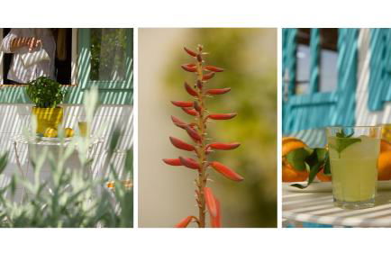 Eudaimonia Wooden Suites Nafplio Kandia - Foto 19