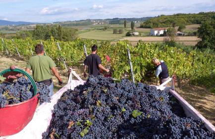 Agriturismo La Pineta - Foto 42