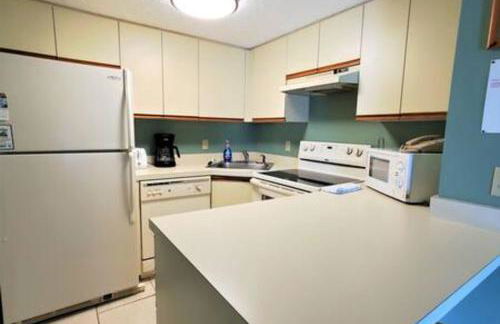 Atrium Condo Oceanview Standard - Sleeps 4 308 - Foto 8