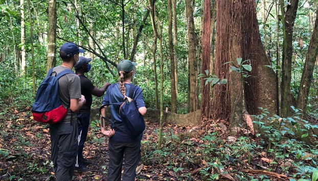 Hiking in Los Haitises