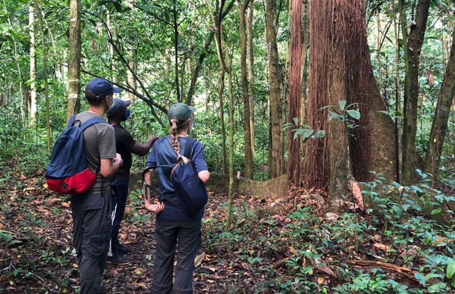 Senderismo y paseo en barco por el Parque Nacional Los Haitises - Foto 4