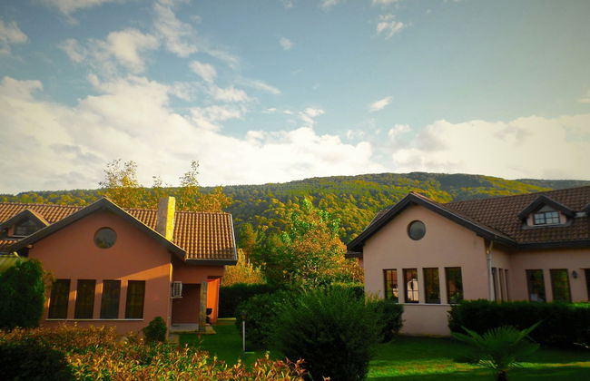 Villa Kirkpinar Sapanca - Foto 75