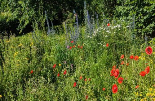Wohnung in Fuldabruck am Naturpark - Foto 70