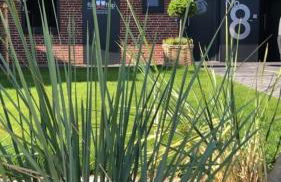 Leuchtturm Büsum, EXKLUSIV, SAUNA - Photo 43