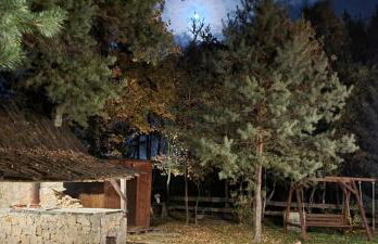 Ostoja Będzyn- Wypoczynek nad Pilicą - Foto 55