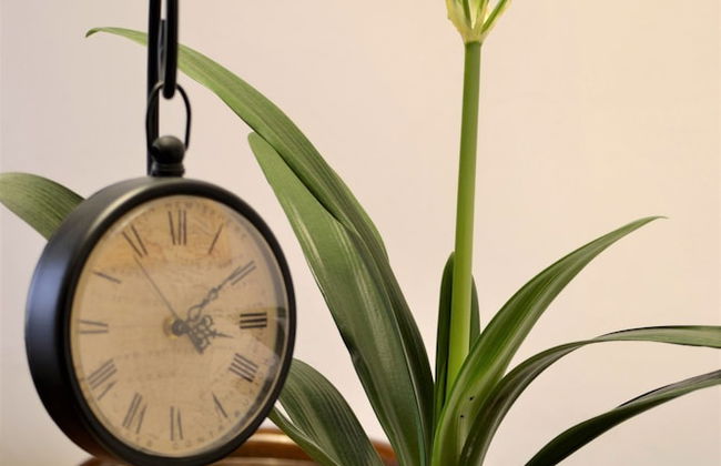 Il Palazzo Boutique B&B - Foto 44