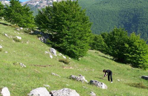 Il Canto degli Uccelli - Foto 30