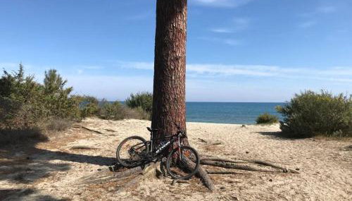 Monte Santu T2 - Foto 5