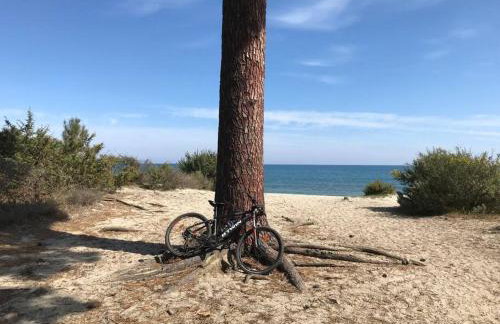 Monte Santu T2 - Foto 5