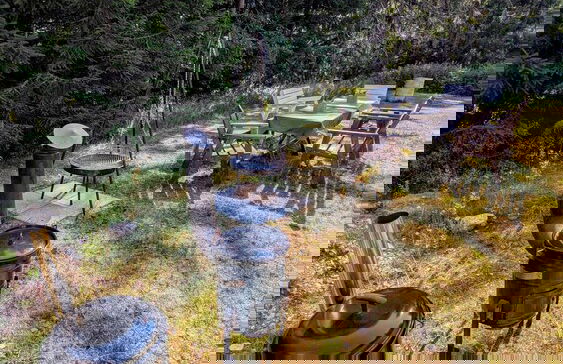 Bright and Spacious Living in Historic Building - Photo 21