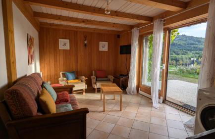 2 chalets écologiques, spa-jacuzzi, montagne Vosges - Foto 3