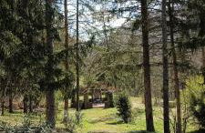 Casale La Pineta - Foto 24