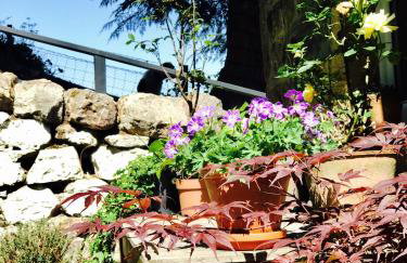 Dandaleith Cottage No.2 - Foto 19