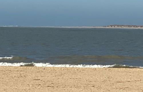 Castillo del Espiritu Santo (La Jara) - Foto 49