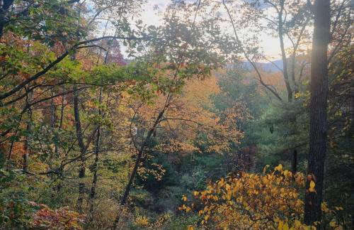 3BR Pet Friendly Cottage Mathias WV - Foto 36