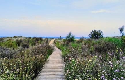 Villa del sol - Foto 33