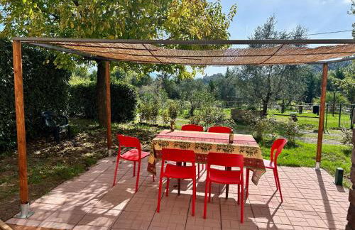 Agriturismo San Ansanino- Piscina con spiaggia-Aria condizionata - Foto 63