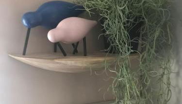 Ultra Stylish furnished Home in Edinburgh - Foto 3