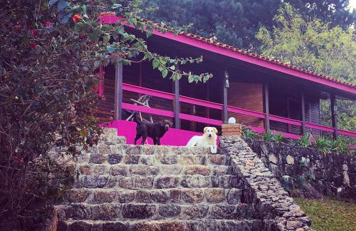 Pousada Recanto Primavera - Photo 30