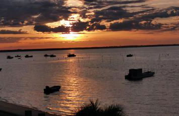 Entre dune et plage Les Jacquets Cap Ferret - Foto 14