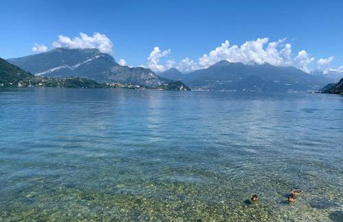 Casa Royale Appartamento Terra - Foto 25