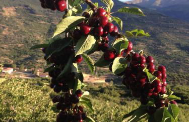 El Cerrillo - Foto 42