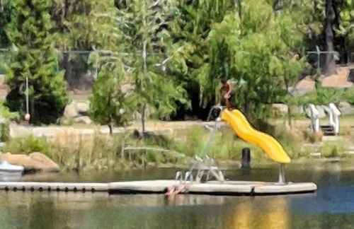 1BR Dog-Friendly Lakefront Cabin with Canoes - Foto 23