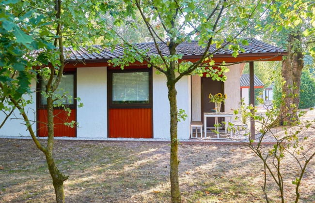 Ferienpark Grafschaft Bentheim - Foto 38