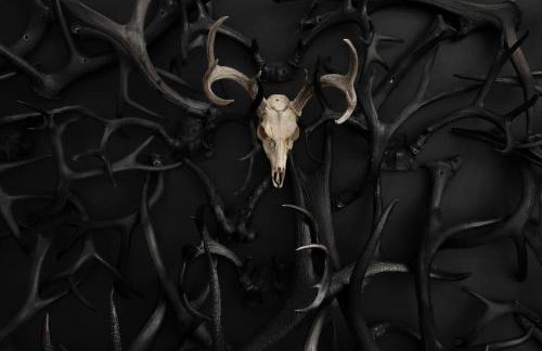 Freya Geo Dome Suite At El Mistico Ranch - Foto 6