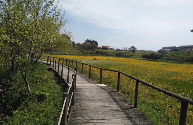 Portohall Beach - Foto 13