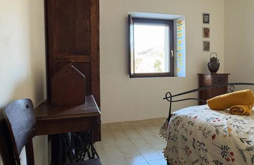 Bosco Stellato - Foto 9