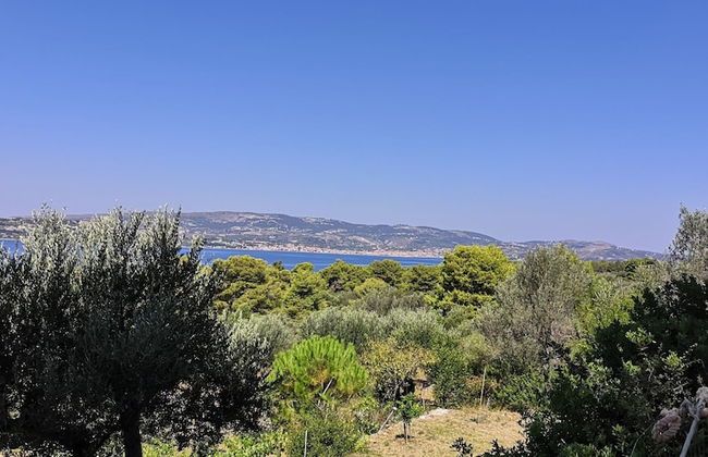 Seapine Studios - Foto 12