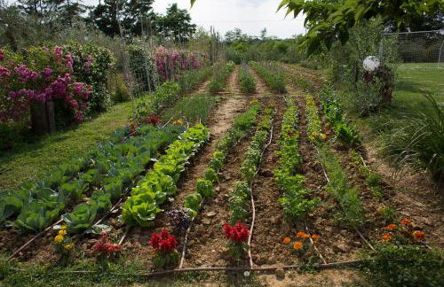 Podere Piandarca - Photo 41