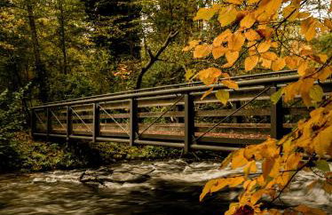 WEIDEN51 - Apartment für Business & Familien - Foto 15