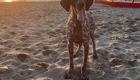 Casasullaspiaggia_roma - Foto 2