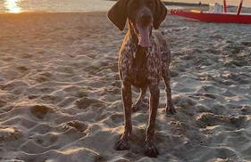 Casasullaspiaggia_roma - Foto 2