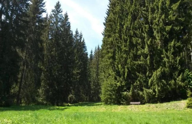 Peaceful Forest Getaway - Foto 37