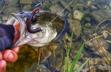 Apartmani Galić - Foto 25