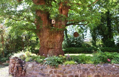 Apartments Wassermühle Stenten - Foto 15