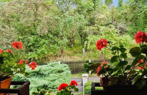 M&E Cztery pory roku Szklarka 25A - Foto 25