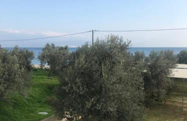 Amalfi Complex - Foto 29