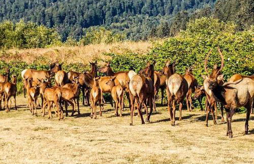 Viewcrest Retro Country Home - Photo 38