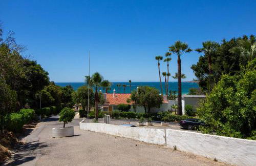 Barracuda A14 - Foto 38