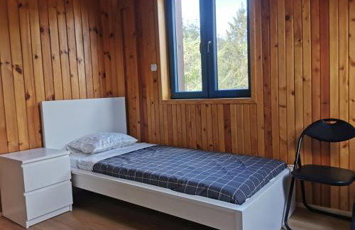 Leśne Wspomnienia - Foto 22