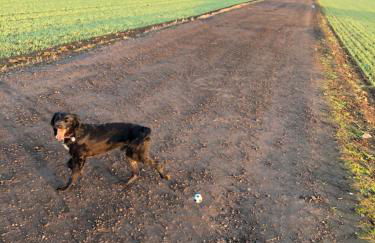 Nelly's Nest - Foto 29