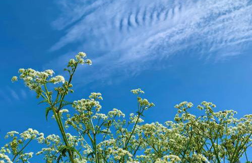 The Studio - Photo 31