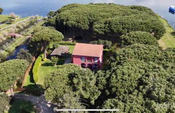 Tenuta Clementino - Foto 24