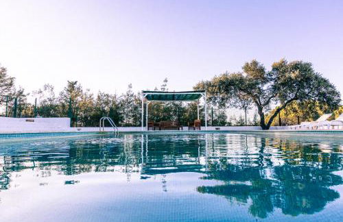 Vila Bita Agroturismo - Foto 15