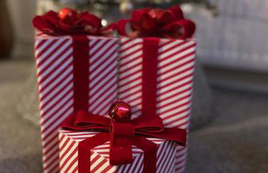 Kinneuchar Cottage - by Elie, Dog Friendly. - Foto 59