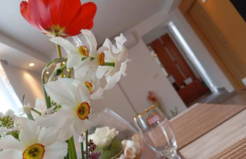 Apartman Maja - Foto 12